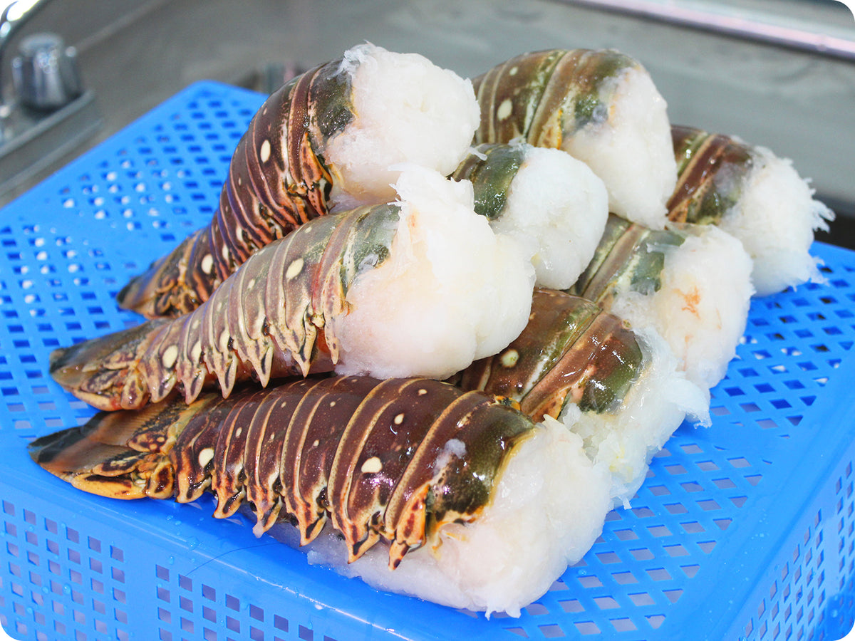 Caribbean Lobster Tails (XL) By The Pound – Epicurean Seafood