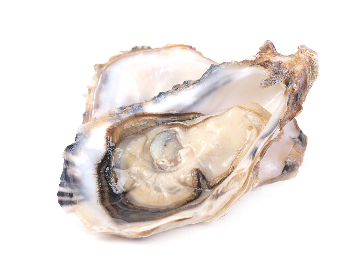 Fanny Bay Oysters By The Dozen – Epicurean Seafood